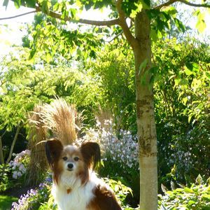 Meet your Posher, Janet